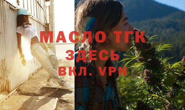 твердый Няндома