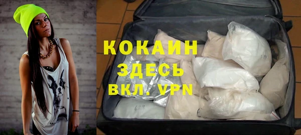 стаф Гвардейск