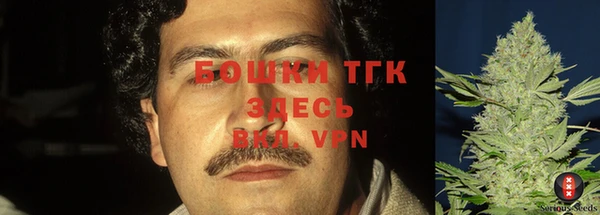 дмт Новодвинск