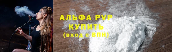 соль ск Новозыбков