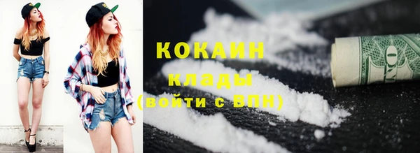 дмт Новодвинск