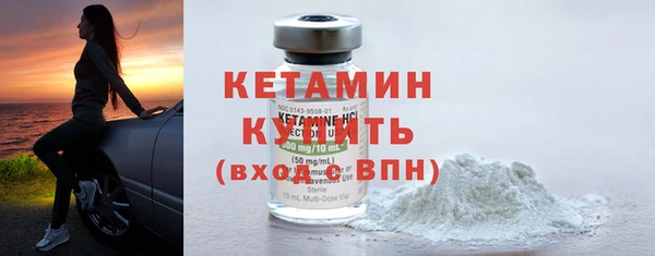 соль ск Новозыбков