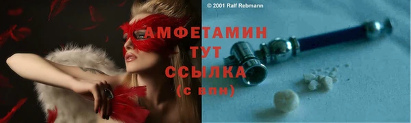 соль ск Новозыбков
