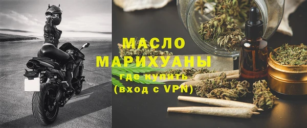 соль ск Новозыбков