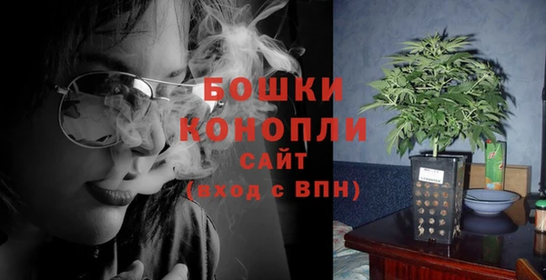 дмт Новодвинск