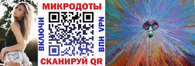 сколько стоит  Шарыпово  Псилоцибиновые грибы Psilocybe 