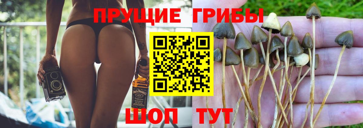 Псилоцибиновые грибы Magic Shrooms Шарыпово